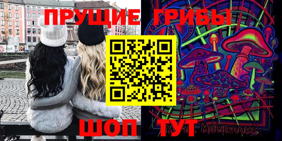 Богородск  Псилоцибиновые грибы Psilocybine cubensis  Псилоцибиновые грибы мицелий  Вход с VPN 
