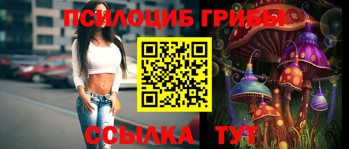 Галлюциногенные грибы мицелий Богородск